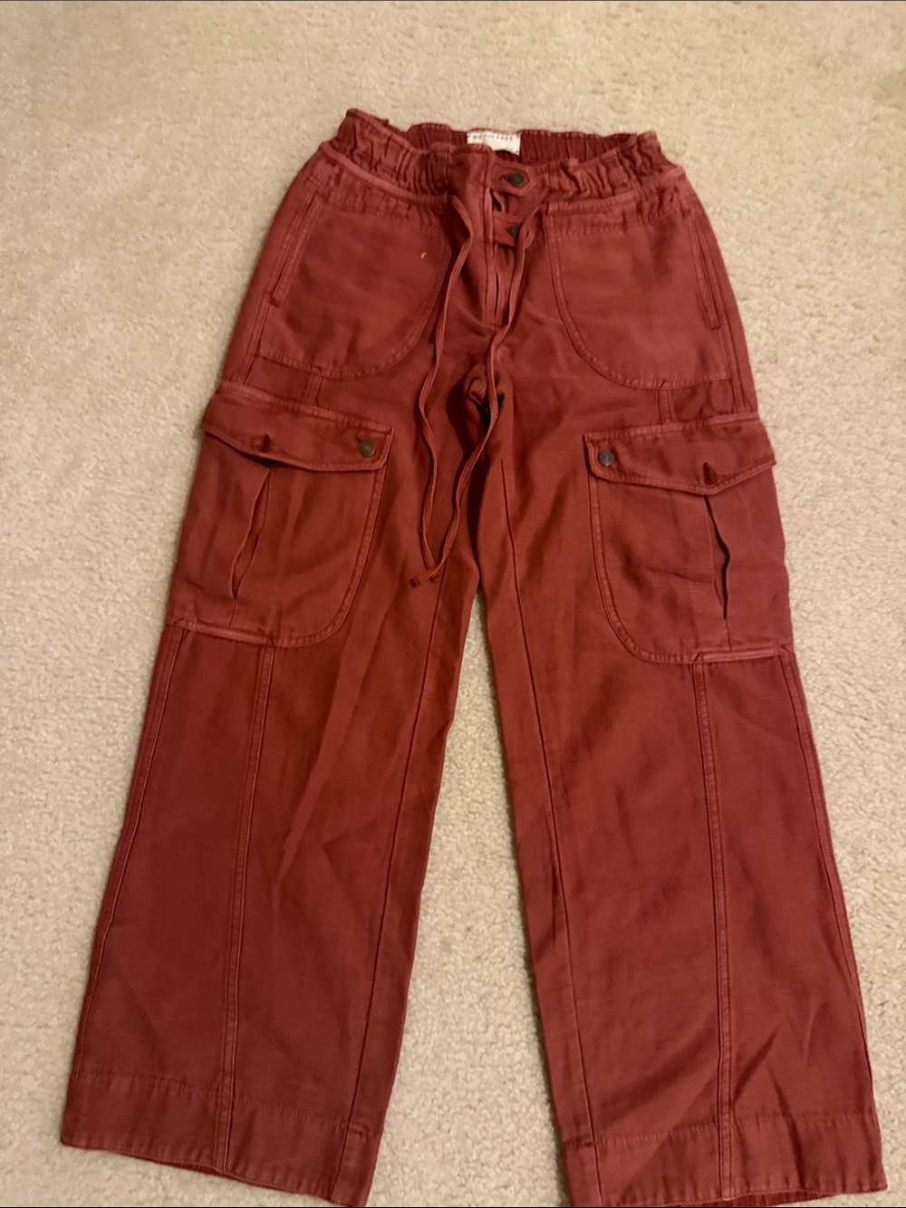 We The Free Men's Rust Red Cargo Pants with Drawstring